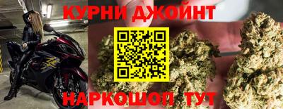 сатива Новодвинск