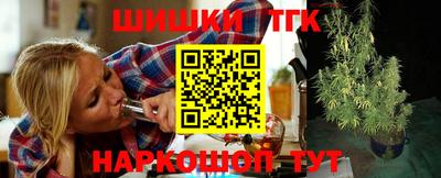 сатива Новодвинск