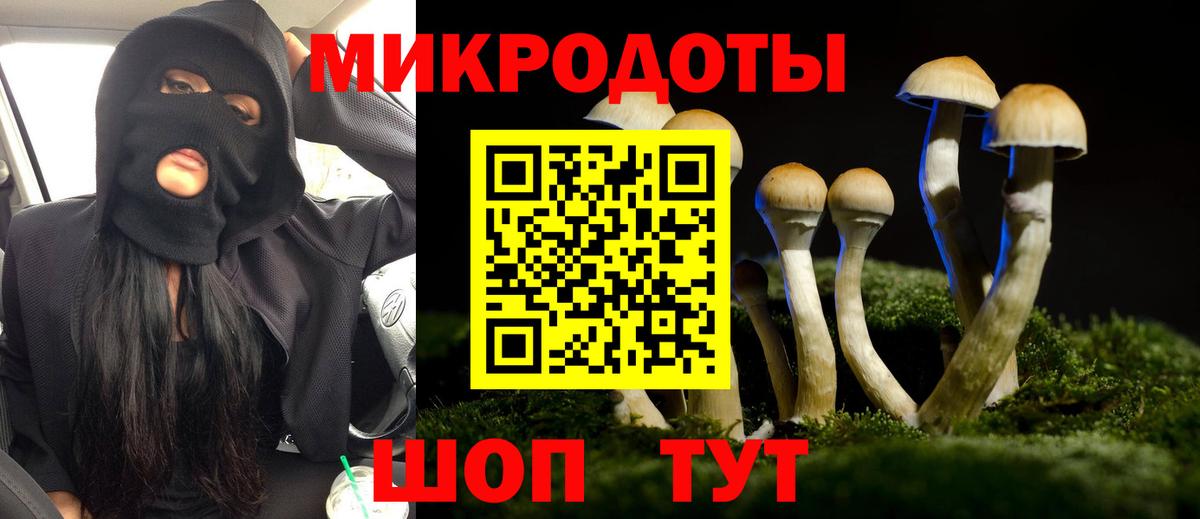 Галлюциногенные грибы Psilocybe Среднеуральск